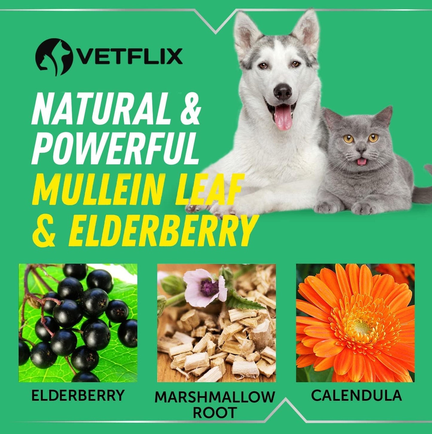 Vetflix Cough Relief Liquid for Dogs and Cats – Mullein Leaf & Elderberry Blend, 60 ml - görsel 6