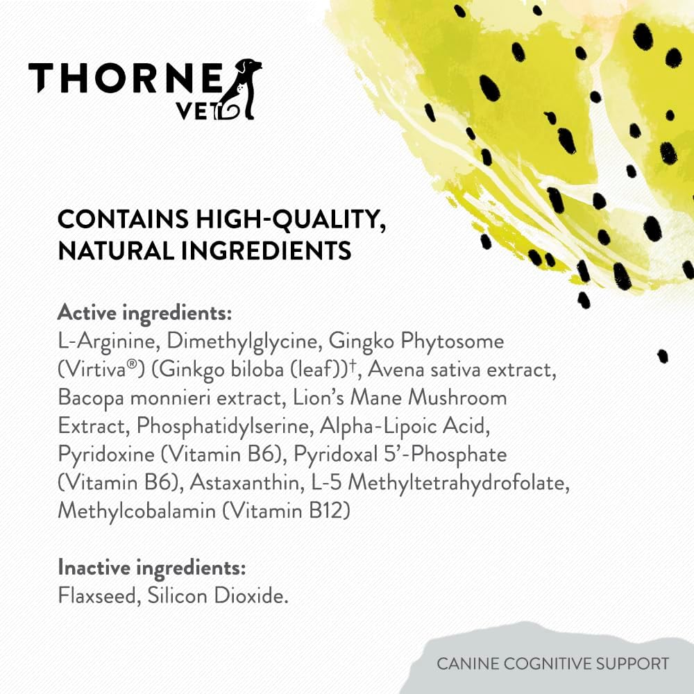 Canine Cognitive Support Powder for Dogs - Brain Health Supplement with B Vitamins and Antioxidants - 90 Scoops - görsel 5