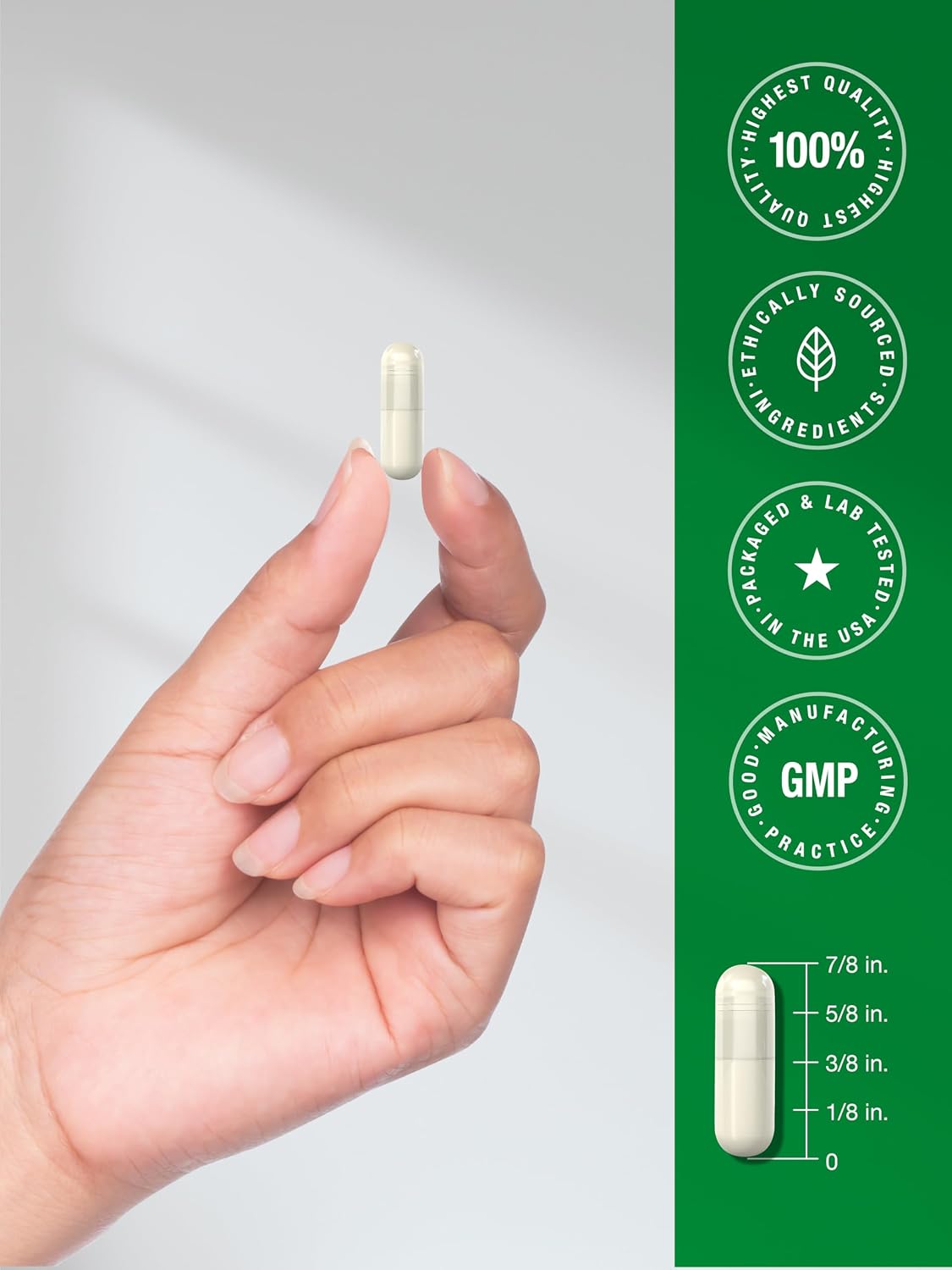 Horbäach Green Lipped Mussel, 120 Capsules, Freeze-dried from New Zealand - görsel 7