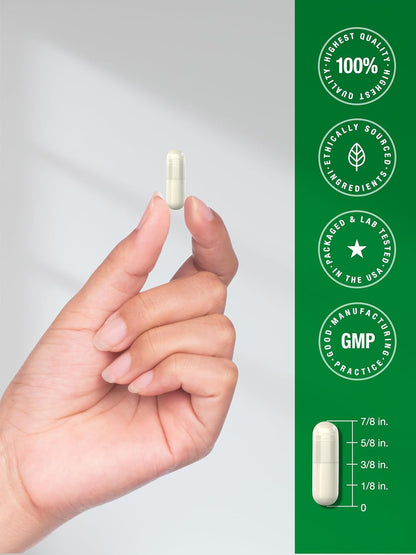 Horbäach Green Lipped Mussel, 120 Capsules, Freeze-dried from New Zealand