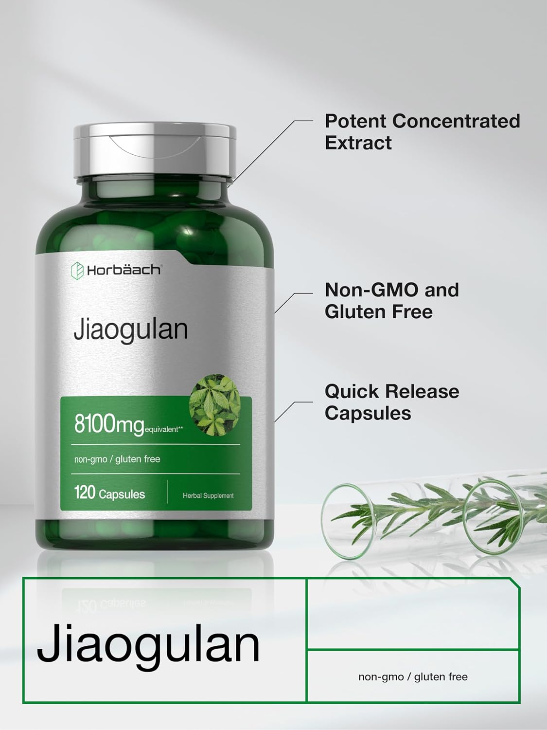 Horbäach Jiaogulan Capsules, 120 Capsules – Gynostemma Pentaphyllum Herbal Extract - görsel 4