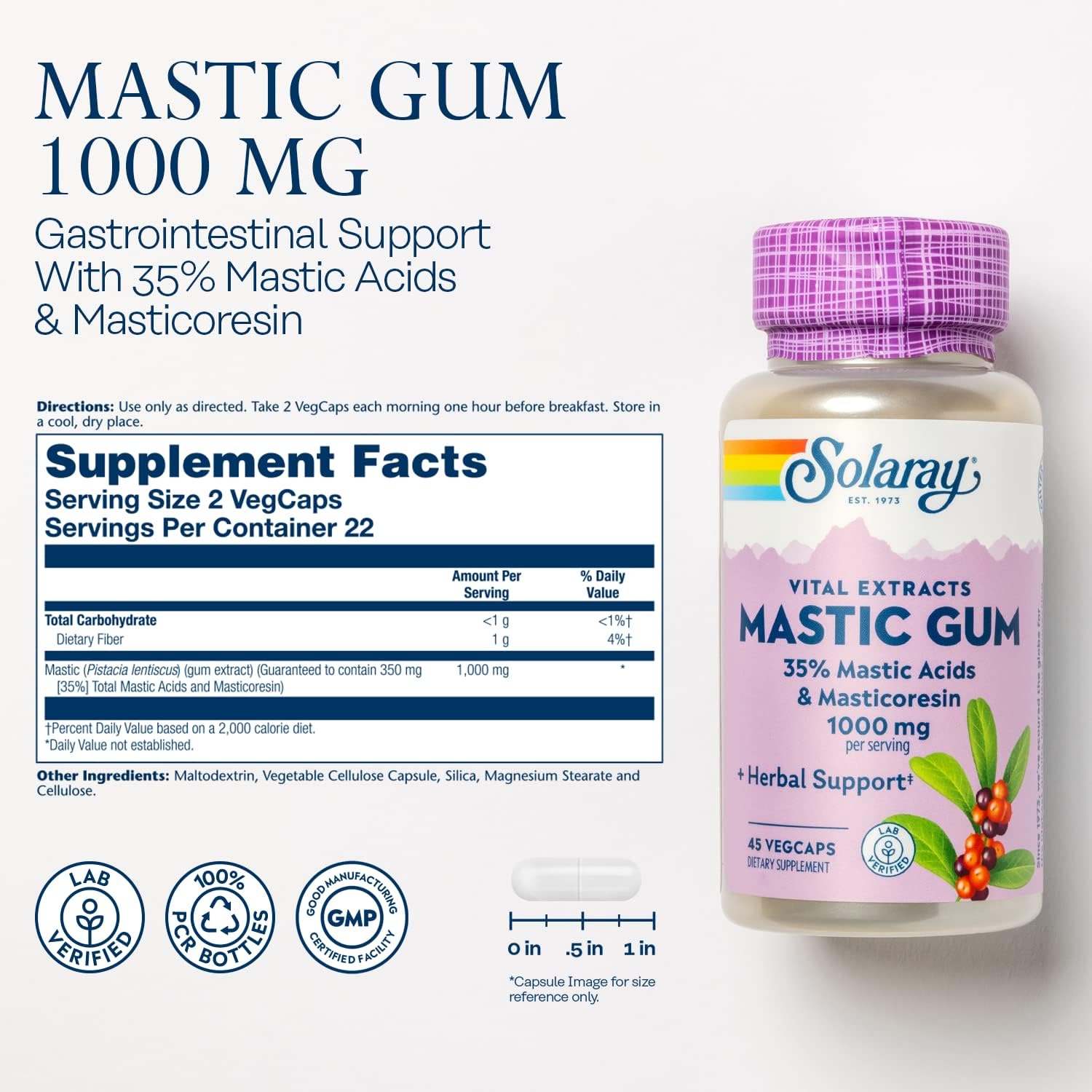 SOLARAY Mastic Gum Extract 500 mg - 45 Vegetarian Capsules - Digestive Health Support - görsel 2