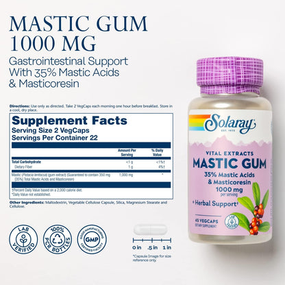 SOLARAY Mastic Gum Extract 500 mg - 45 Vegetarian Capsules - Digestive Health Support