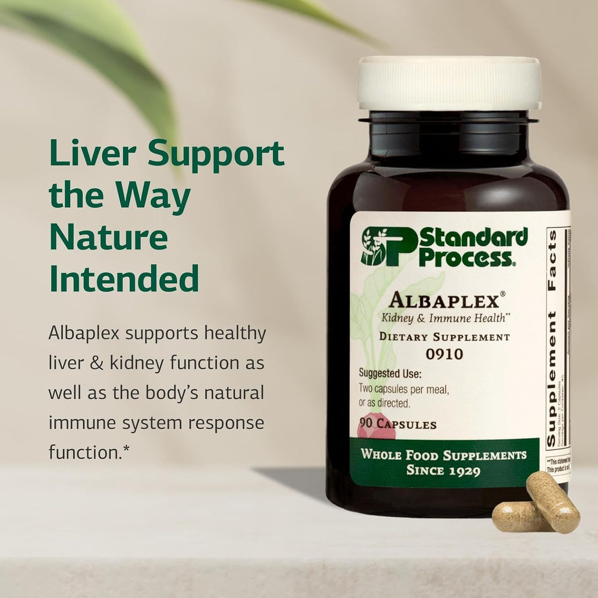 Standard Process Albaplex – Liver & Immune Health Food Supplement, 90 Capsules - görsel 3