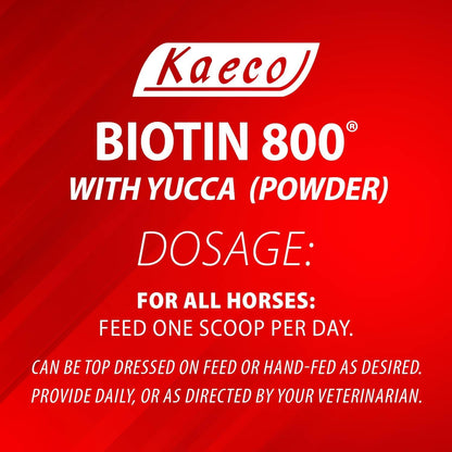 Biotin 800 Powder by Kaeco