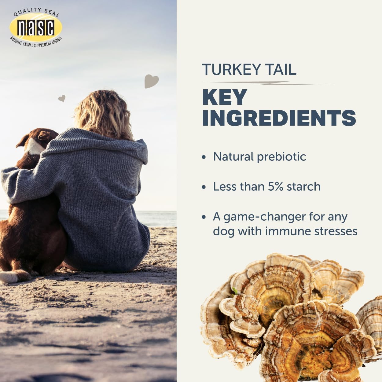 Turkey Tail Mushroom for Dogs - Organic Mushroom Extract with Over 50% Beta-Glucans - Third-Party Tested - Made in the USA - görsel 4