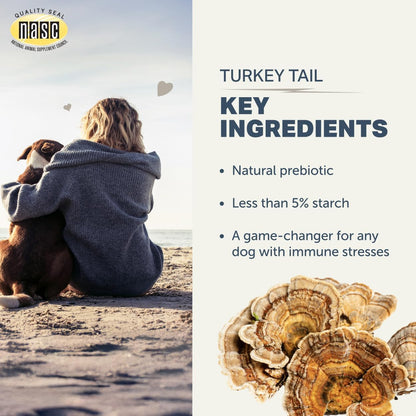 Turkey Tail Mushroom for Dogs - Organic Mushroom Extract with Over 50% Beta-Glucans - Third-Party Tested - Made in the USA