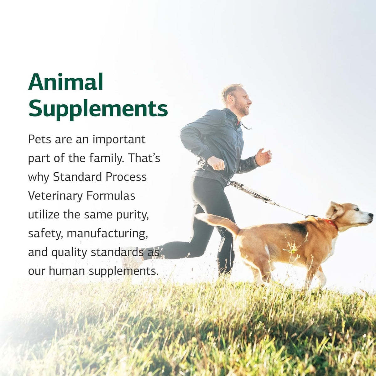 Standard Process Canine Hepatic Support – Dog Supplement for Liver Health – Powder – 30 g - görsel 6