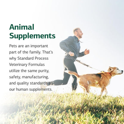 Standard Process Canine Hepatic Support – Dog Supplement for Liver Health – Powder – 30 g