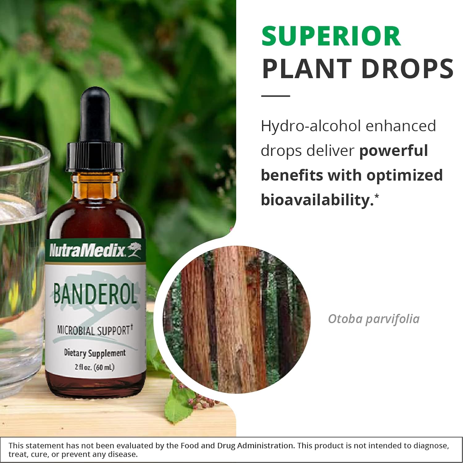 NutraMedix Banderol - Daily Immune Support Supplement - Vegan Tincture - 30 ml - görsel 5