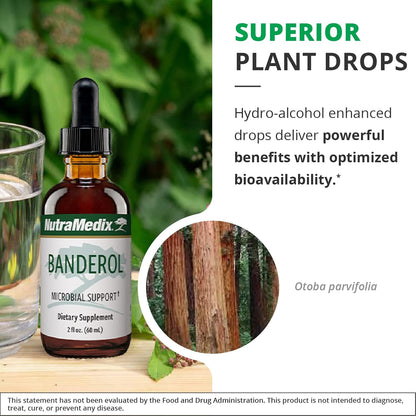 NutraMedix Banderol - Daily Immune Support Supplement - Vegan Tincture - 30 ml