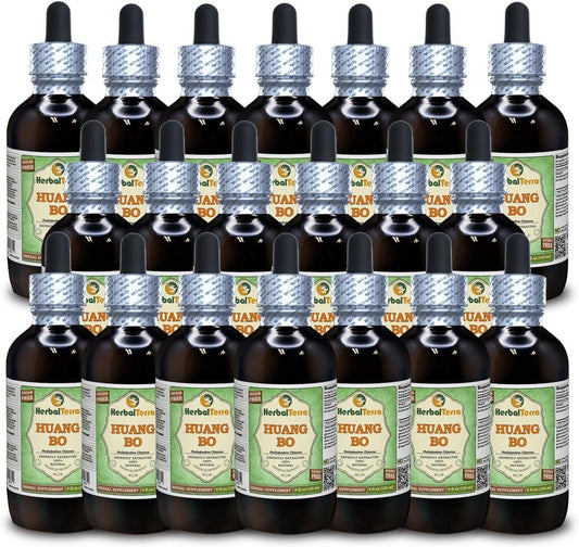 Huang Bo, Huang Bai, Amur Cork Tree (Phellodendron Chinense) Glycerite – Alcohol-Free Liquid Extract, 20 x 120 ml