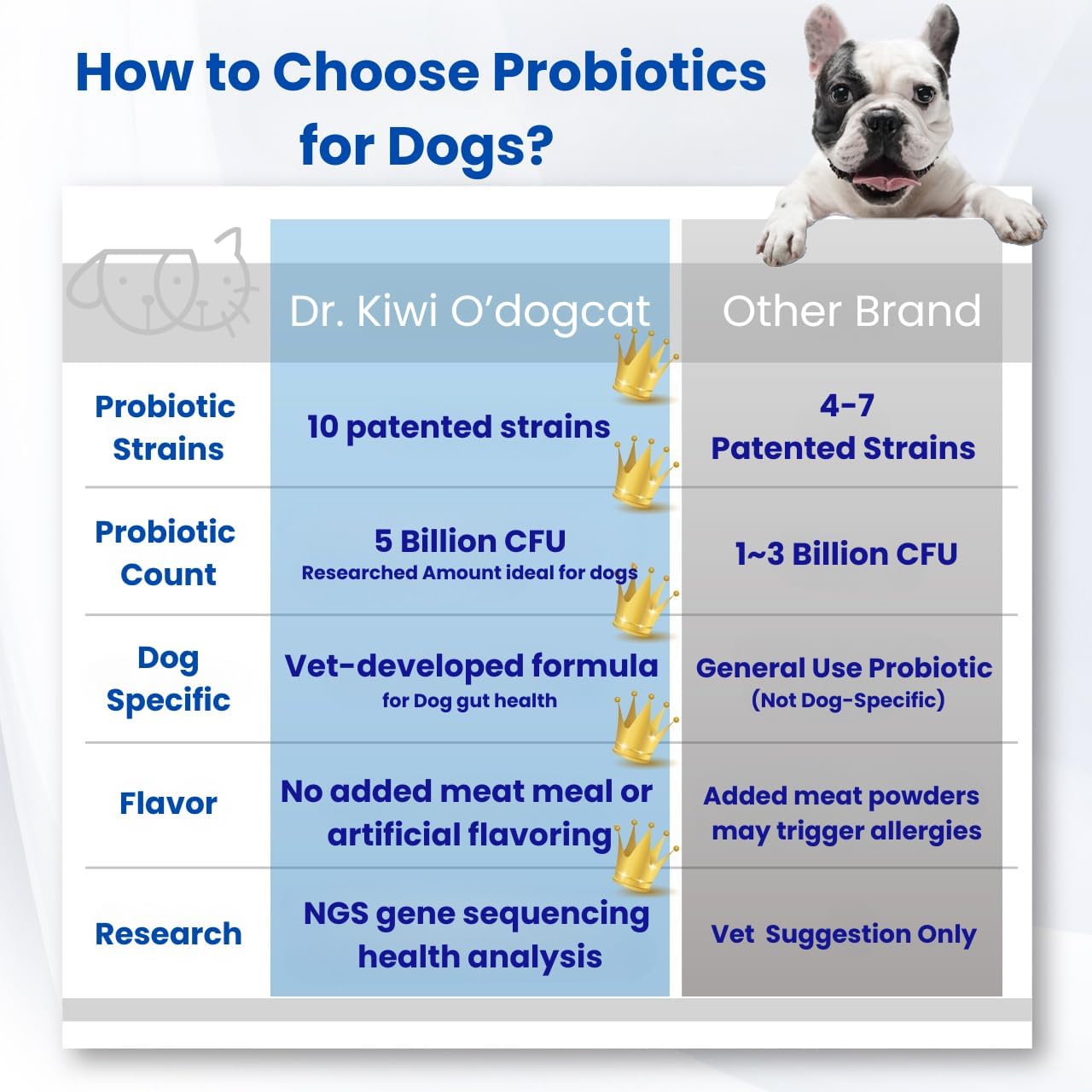Dr. Kiwi O'dogcat Probiotics for Dogs - görsel 8