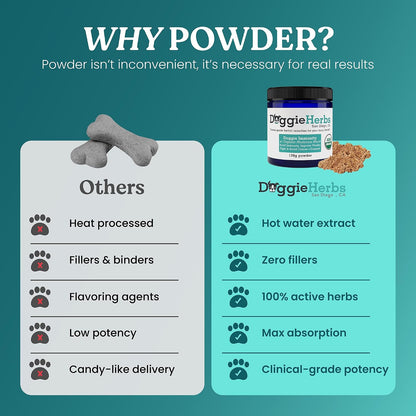 Doggie Herbs High Potency Immune Support – Critical Care Formula with Turkey Tail, Reishi & TCM Mushrooms + Herbs – Doctor Formulated Powder for Recovery, Vitality & Cellular Health 100g