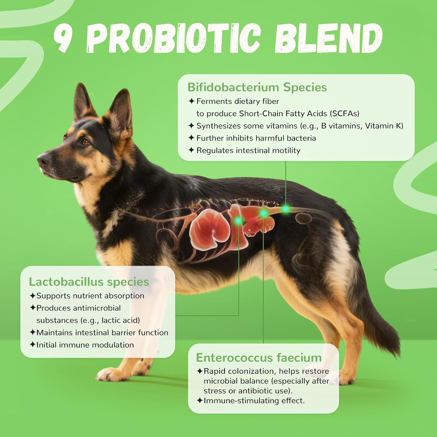 Furrolika 60 Count Probiotics Soft Chews – Beef Flavour Dog Probiotic - görsel 3