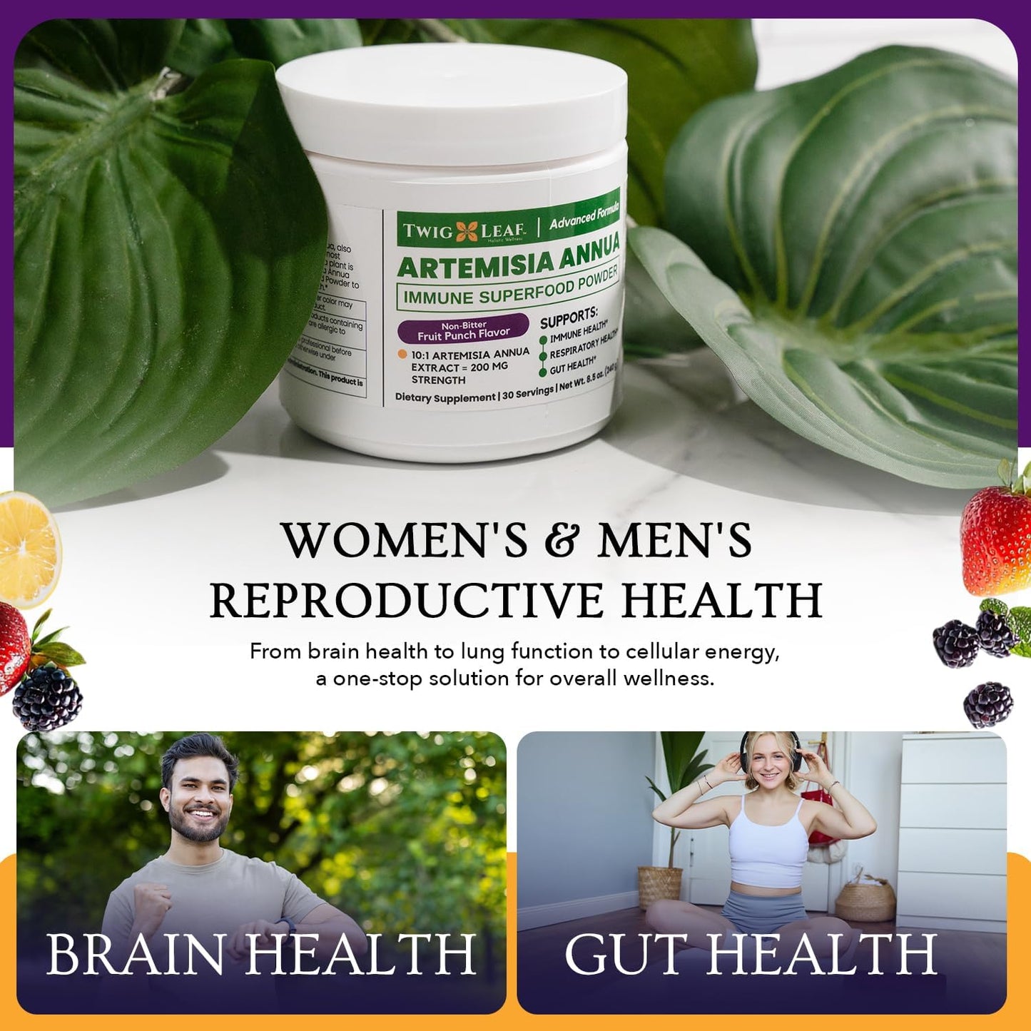 Artemisia Annua Sweet Wormwood Herbal Powder | Immune & Brain Support | Non-GMO, Vegan, Gluten-free (240g) - görsel 5