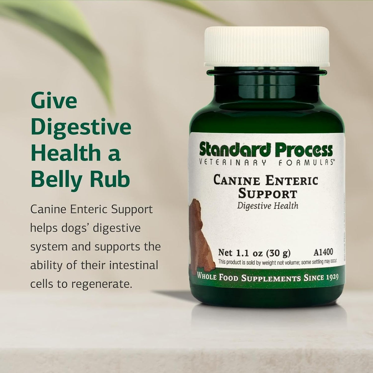 Standard Process Canine Enteric Support – Digestive Support for Dogs (30g) - görsel 3