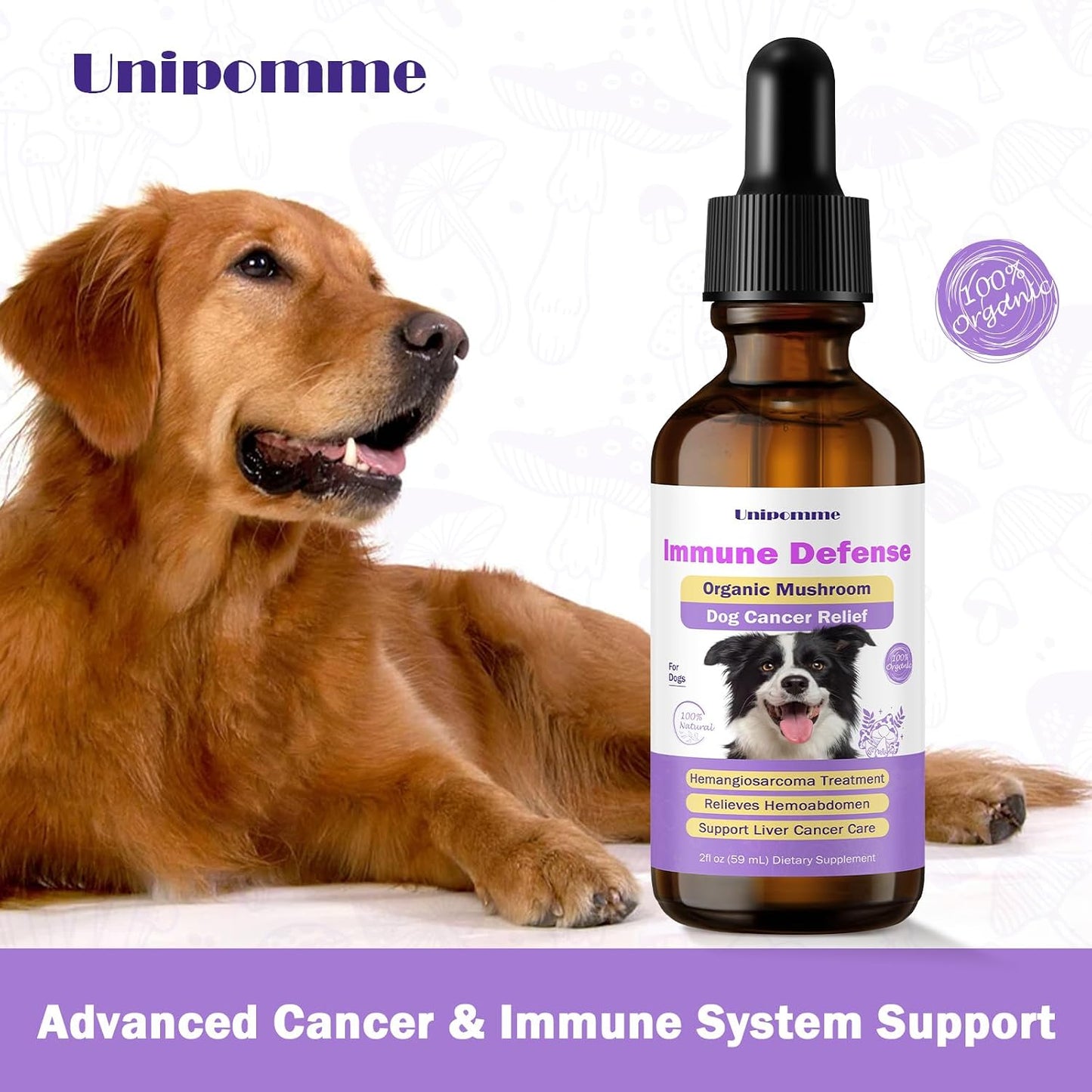 Pet Critical Guard Dog Immune Support Supplement with Turkey Tail Mushroom - 2 oz (59 ml) - görsel 8
