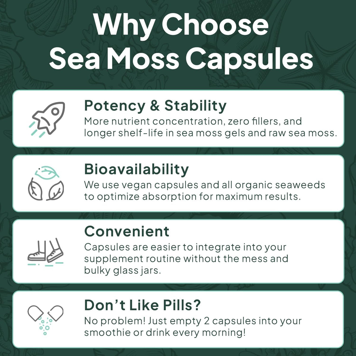 Organics Ocean Wild Sea Moss Capsules - 100% Organic Irish Sea Moss with Organic Chlorella, Bladderwrack and Vitamin D - 6 Bottles - görsel 6