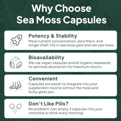 Organics Ocean Wild Sea Moss Capsules - 100% Organic Irish Sea Moss with Organic Chlorella, Bladderwrack and Vitamin D - 6 Bottles