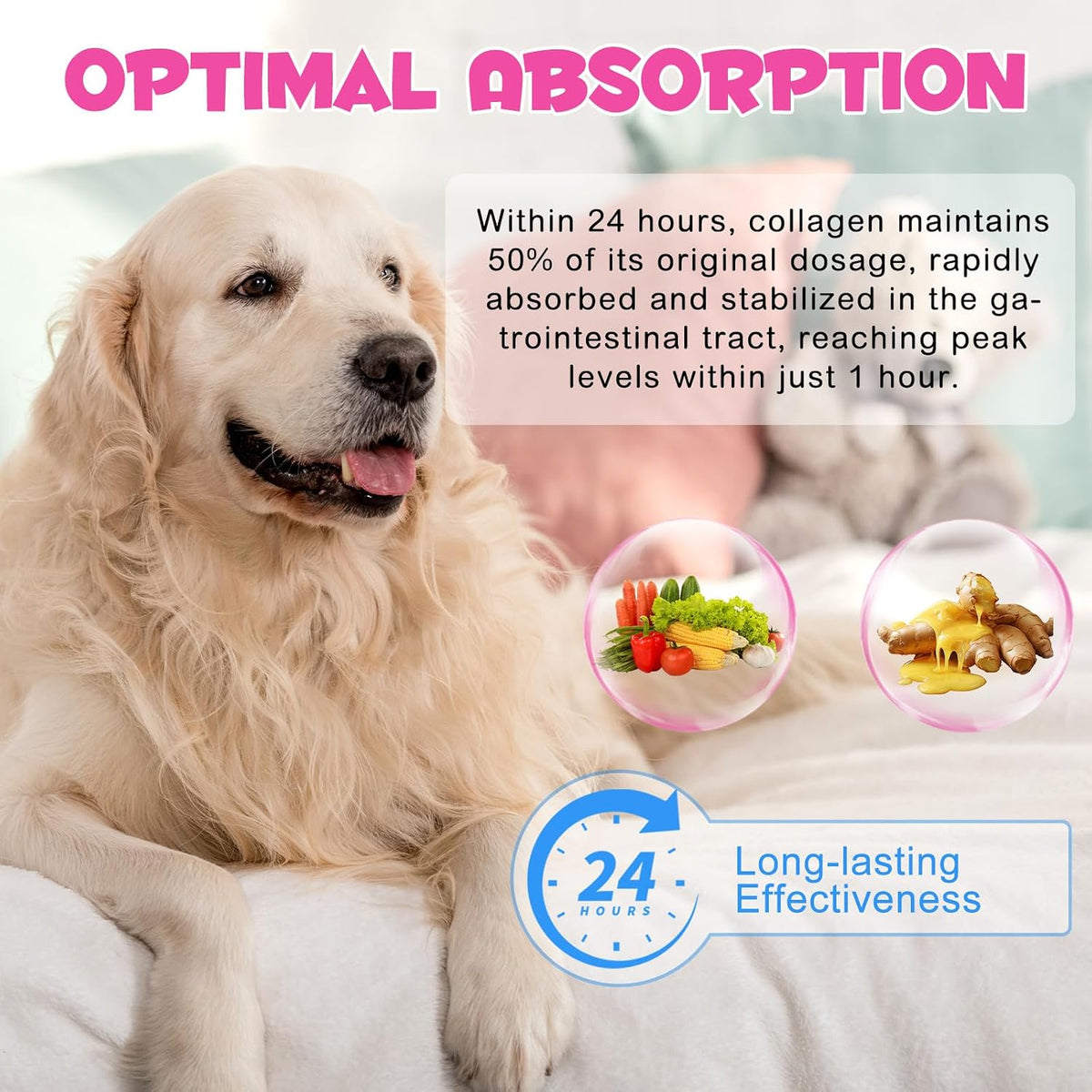 Collagen for Dogs - Liquid Drops with Biotin, MSM and Ginger - 60 ml - görsel 6