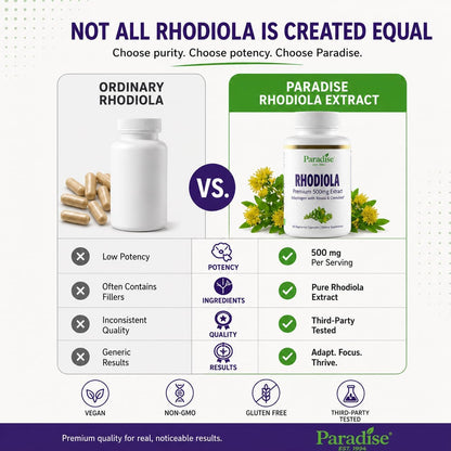 Paradise Herbs Rhodiola Extract 500mg, Adaptogen for Stress Resilience, Vegan, Non-GMO, Gluten Free, 60 Vegetarian Capsules