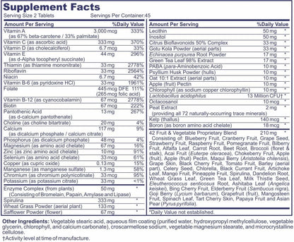 Life's Vitality Vegan Multivitamin – Non-GMO with 42 Fruits & Vegetables and Vitamin D, 90 Tablets