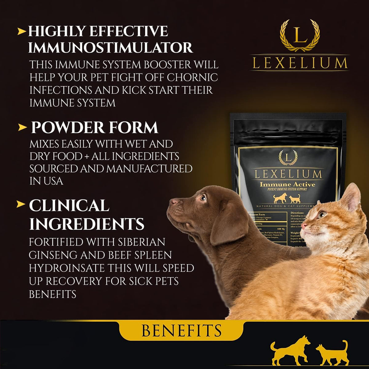 Lexelium Immune Support for Cats and Dogs - Natural Immunity Supplement Powder - 200g - görsel 4