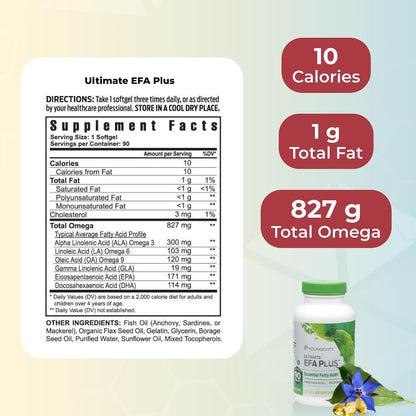 Youngevity Healthy Body Start Pack 2.0 (Beyond Tangy Tangerine 2.0, Osteo FX Powder, Ultimate EFA Plus)