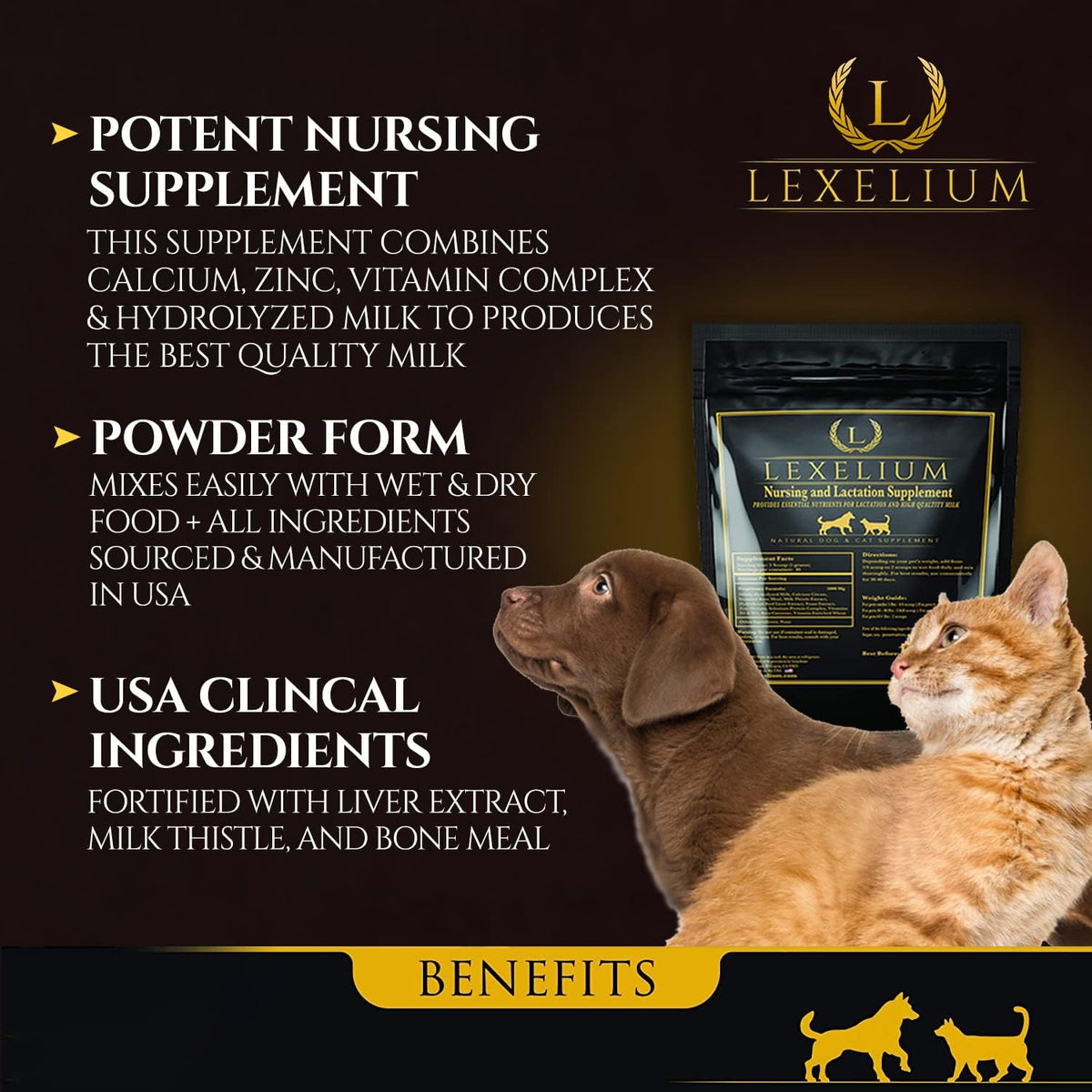 Lexelium Nursing Supplement for Dogs and Cats - Lactation and Recovery Support - 200g - görsel 2
