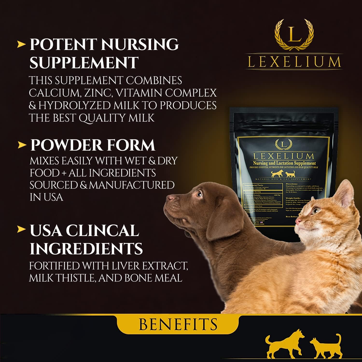 Lexelium Nursing Supplement for Dogs and Cats - Lactation and Recovery Support - 200g - görsel 2