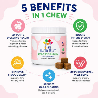 HealthyTreatz Probiotics for Dogs – 2 Billion CFU, 6 Strains with Digestive Enzymes – Gut Health, Diarrhoea Relief, Gas, Itchy Skin & Seasonal Allergy Support – Made in USA – Soft Chews, 120 ct
