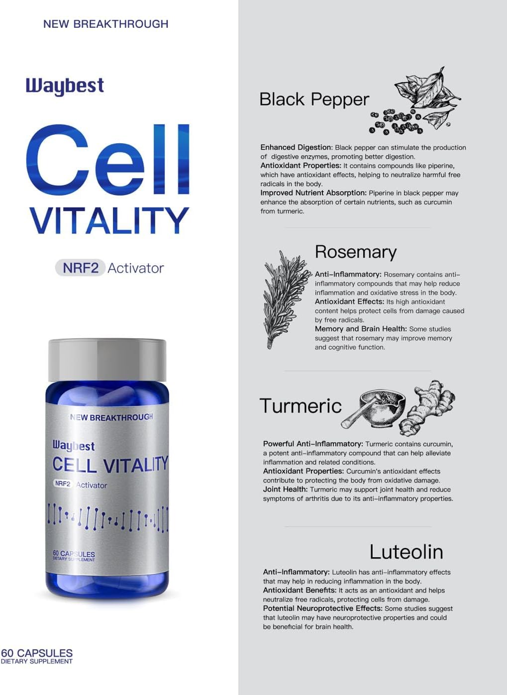 Waybest NRF2 Activator Antioxidant Supplement - 60 Capsules - görsel 6