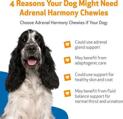 Pet Wellbeing Adrenal Harmony Chewies for – Help maintain a healthy weight — Adrenal health is linked to – Image 3