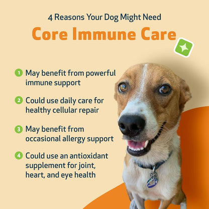 Pet Wellbeing Core Immune Care for Dogs - Daily Antioxidant Support Powder (105g)