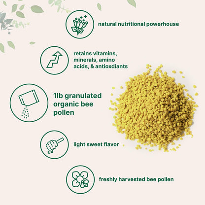 Micro Ingredients Organic Bee Pollen Granules, 454 g | Fresh Harvest, Raw & Natural Superfood