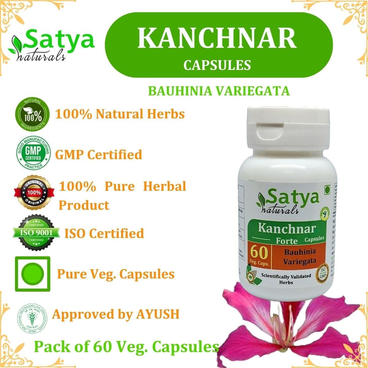 Kanchnar Forte Capsules 500 mg (4 Bottles of 60 Capsules) - Bauhinia Variegata Extract - Ayurvedic Herbal Supplement - görsel 7