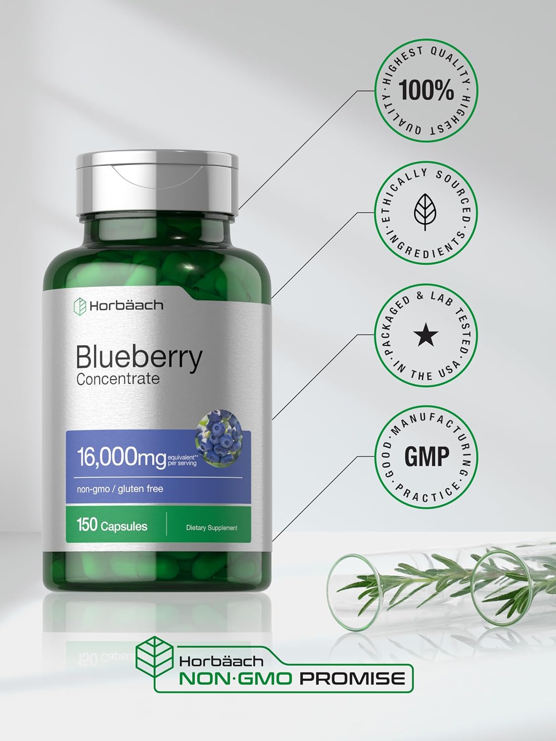 Horbäach Blueberry Concentrate Extract, 150 Capsules (Non-GMO, Gluten-free) - görsel 6