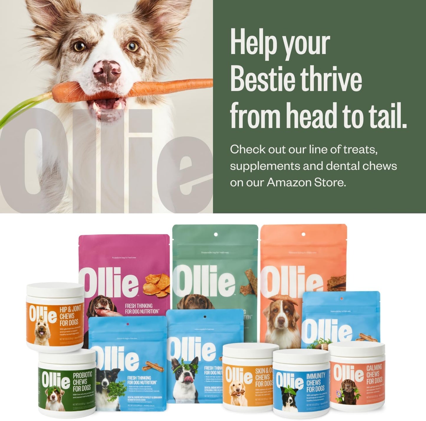 Ollie Belly Rubs Probiotic Dog Chews for Digestive Health, 60 Chews - görsel 6