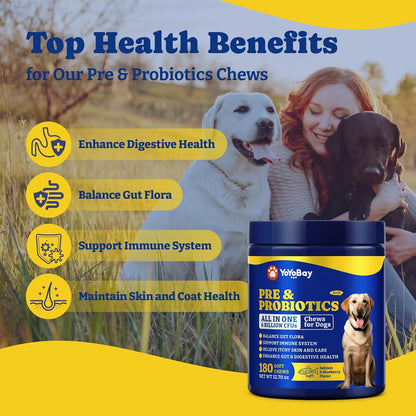 YoYoBay Probiotics for Dogs - 6 Billion CFUs, 180 Soft Chews, Salmon & Blueberry Flavour