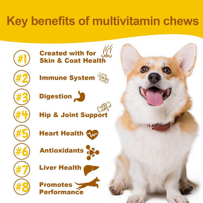 Daily Dog Multivitamin Chewable – Hip & – Vitamin C, A, and E (Antioxidants) – These vitamins help maintain a – Image 5