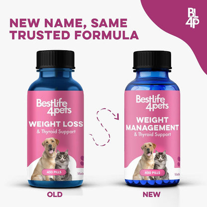 Weight Management for Dogs and Cats Natural Thyroid Support – Gentle Metabolism Booster to Restore Vitality in Senior or Sluggish Pets – 400 Tiny Tasteless Pills – Help Manage Weight, Appetite, and Energy