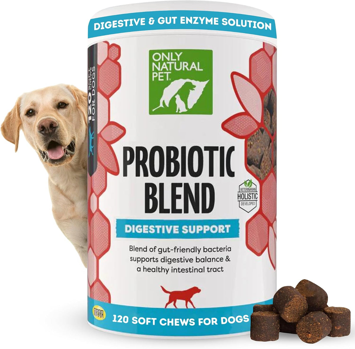 Only Natural Pet Probiotic Dog & Cat Supplement – Digestive and Gut Health Enzyme Formula, Soft Chews, 60 Count - görsel 7