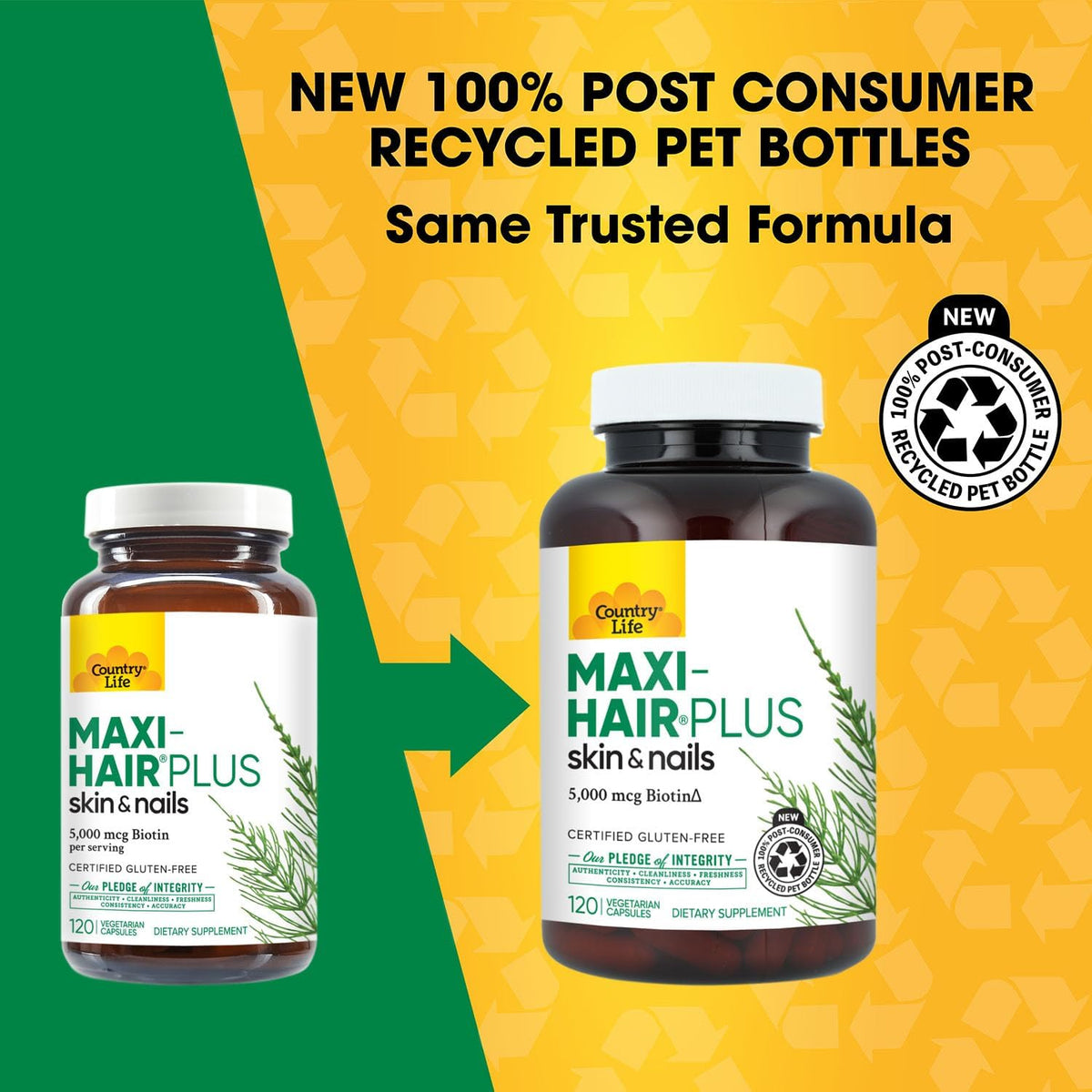 Country Life Maxi-Hair Plus Hair, Skin & Nails Vitamin with 5,000 mcg Biotin - 120 Vegetarian Capsules - görsel 2