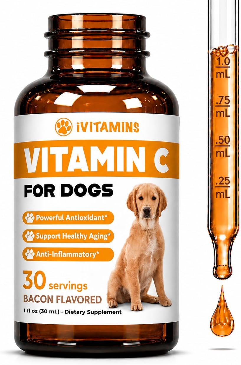 Vitamin C for Dogs - Supports Immune Health - Liquid - Dog Supplement - Bacon Flavour - 30 ml - görsel 1