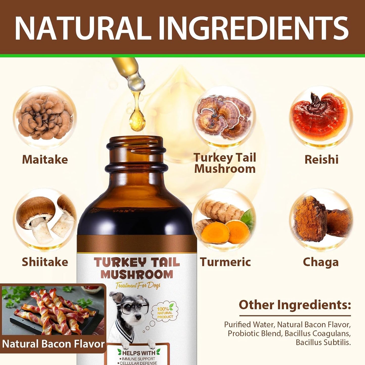 Turkey Tail Mushroom for Dogs – Fast-Absorbing Liquid Drops for Immune, Digestive and Joint Support with Turmeric & Probiotic (60ml) - görsel 4