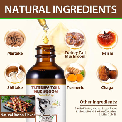 Turkey Tail Mushroom for Dogs – Fast-Absorbing Liquid Drops for Immune, Digestive and Joint Support with Turmeric & Probiotic (60ml)