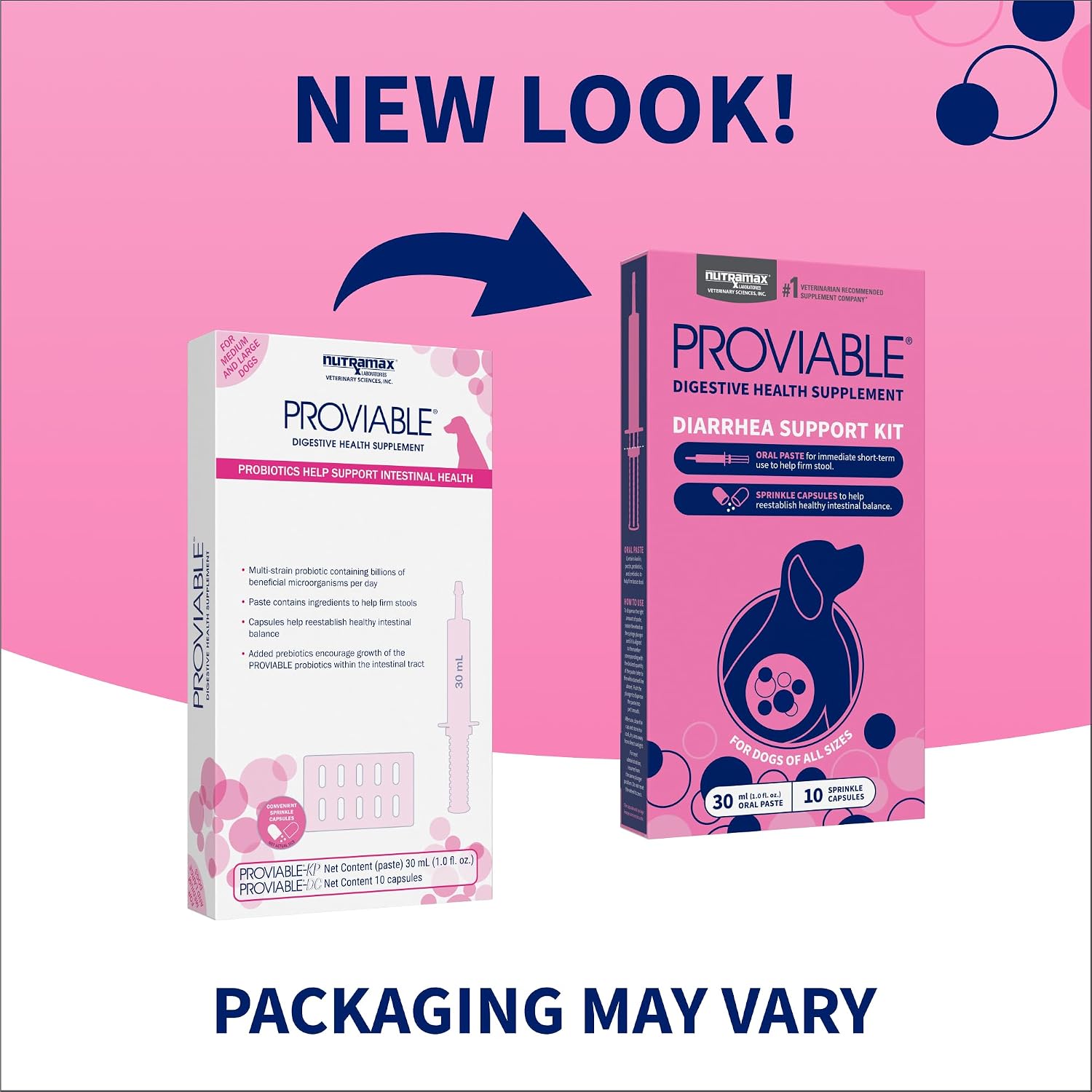 Nutramax Proviable Probiotics for Dogs – Diarrhoea Support Kit with Paste and Capsules - görsel 2