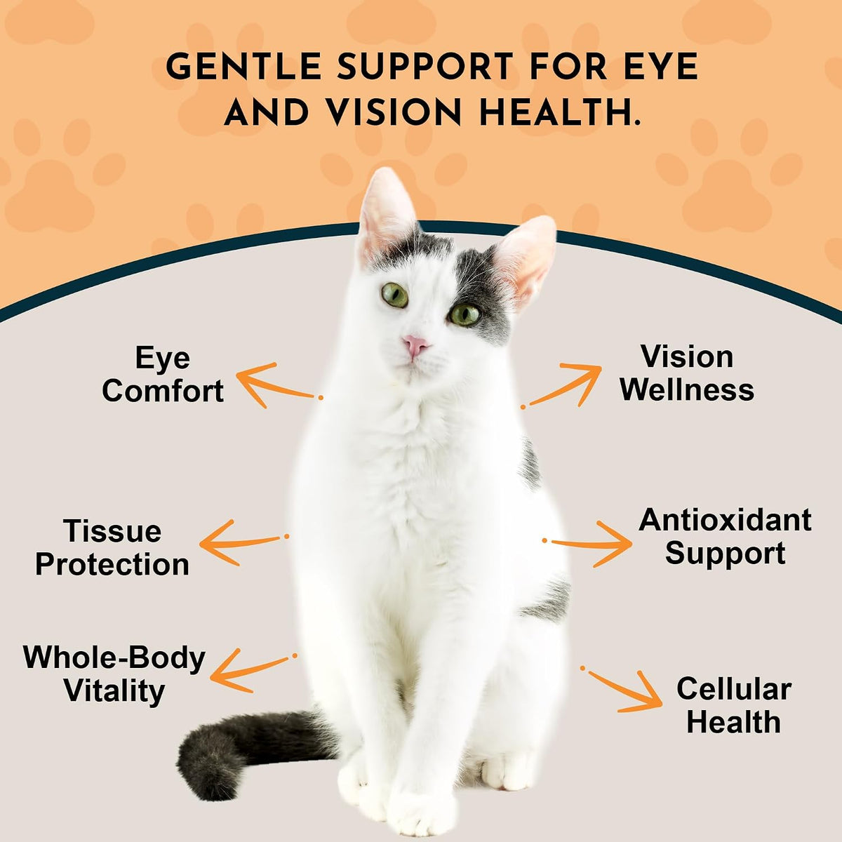 Eye Defence Support for Dogs & Cats, 60 ml - Certified Organic Bilberry & Calendula Herbal Blend, Alcohol-Free - görsel 3