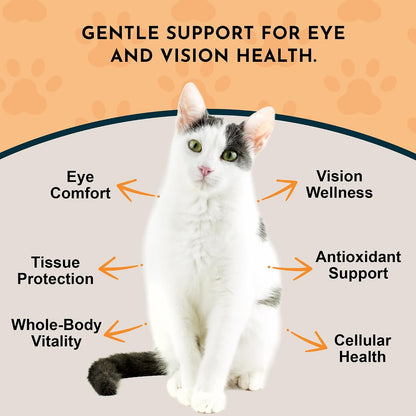 Eye Defence Support for Dogs & Cats, 60 ml - Certified Organic Bilberry & Calendula Herbal Blend, Alcohol-Free